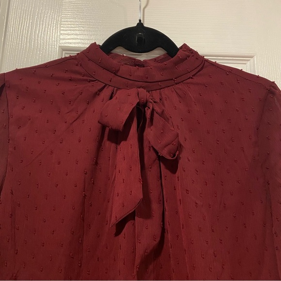 NWT Aconiya Size S Burgundy Swiss Dot Chiffon Lined High Neck Bow Lined Top - Picture 2 of 11